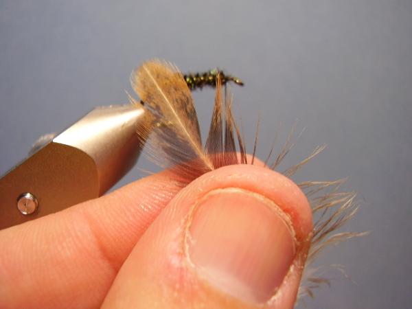 Leadwing Coachman