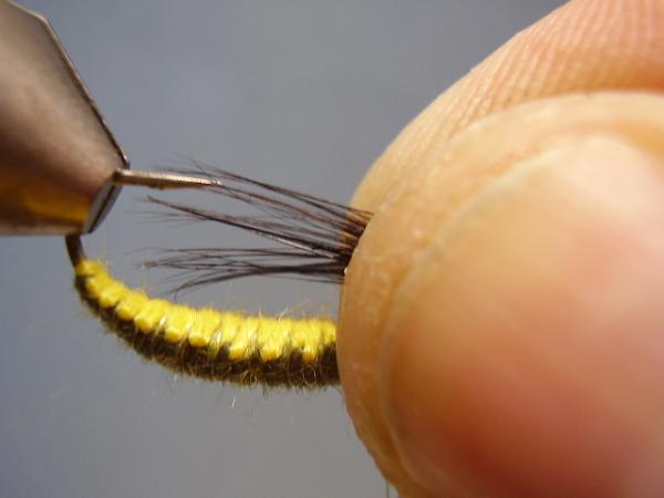 Woven Polish Nymph