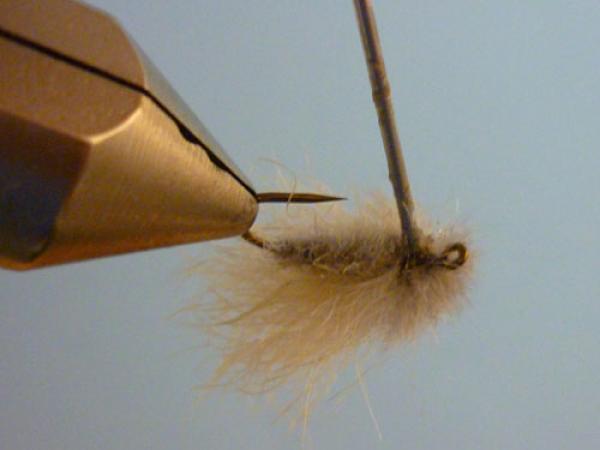 LW's Q-Tip