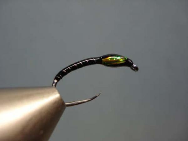 Superglue Buzzer