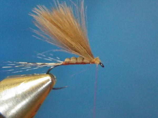 LW's Isonychia F-Plus