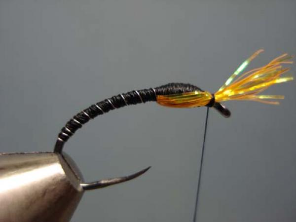 Superglue Buzzer