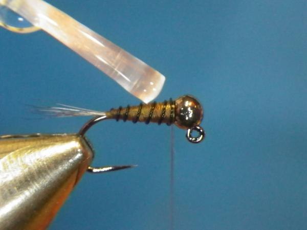 LW's Intestinal Bug