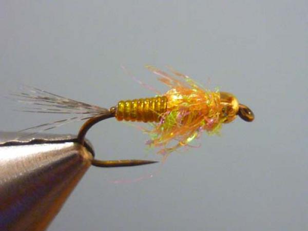 LW's Orange BB