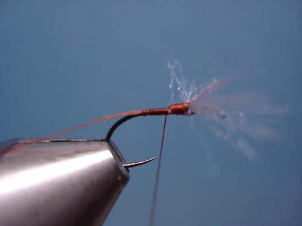 Poly Wing Rusty Spinner