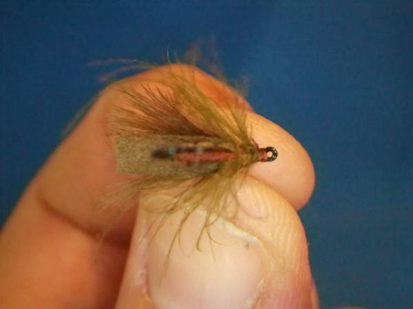 LW's F-Plus Caddis