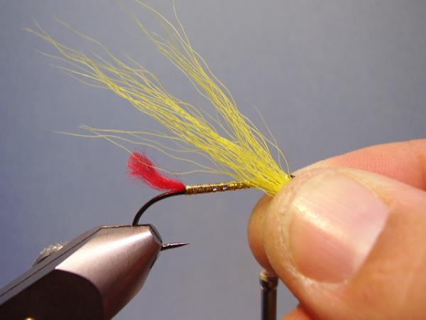 Mickey Finn