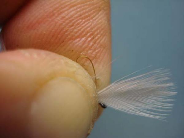 Hen Wing Sulphur Spinner