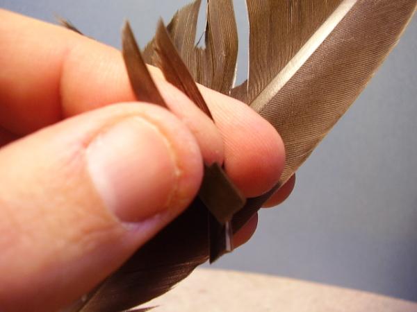 Leadwing Coachman