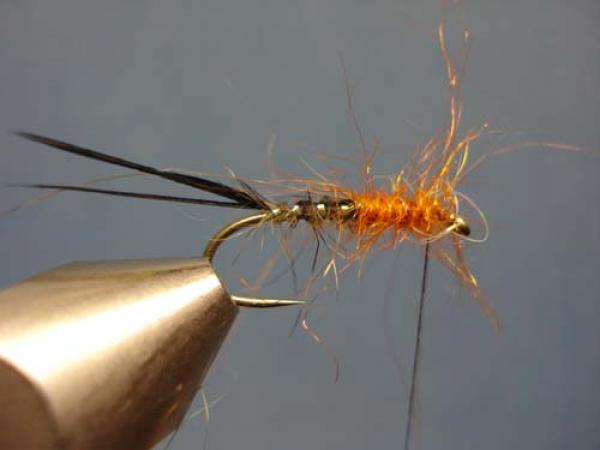 Loren's hare's Ear