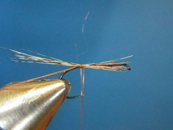LW's Isonychia F-Plus