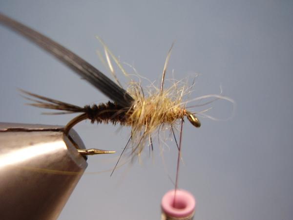 LW's Dark Quill Sulphur