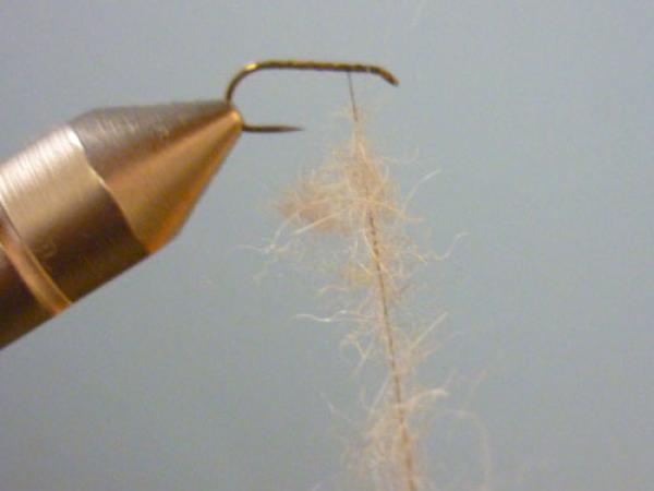LW's Q-Tip