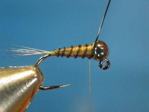LW's Intestinal Bug