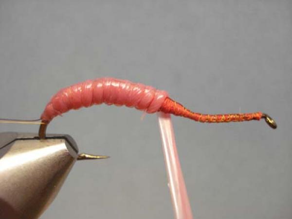 Vladi Worm