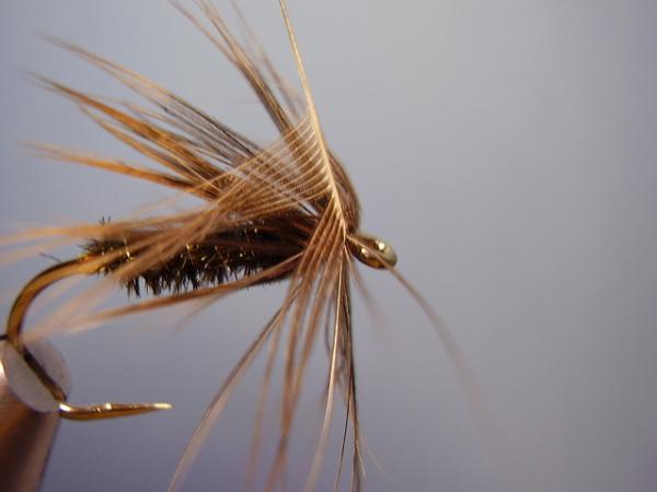 Leadwing Coachman