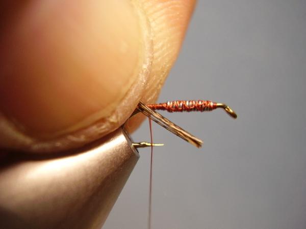LW's Dark Quill Sulphur