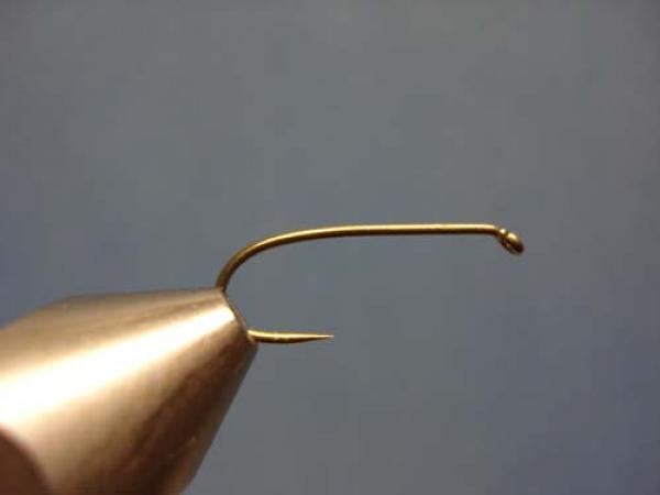 Loren's hare's Ear