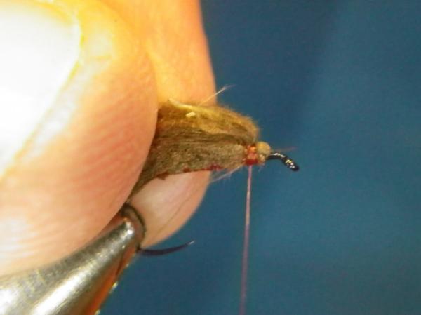 LW's F-Plus Caddis