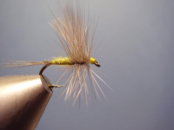 Blue-Winged Olive Catskill