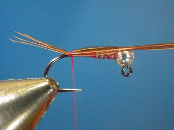 Egan's Pearl Rainbow Warrior