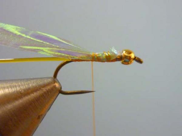 LW's Orange BB