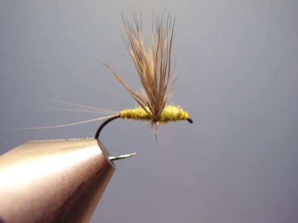 Blue-Winged Olive Comparadun