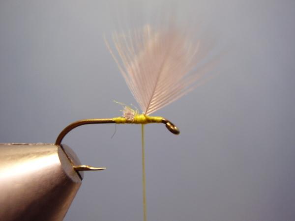 Blue-Winged Olive Catskill