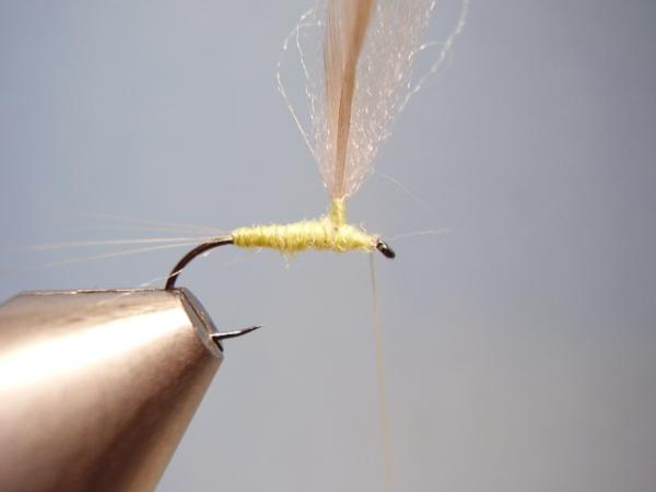 Sulphur Parachute