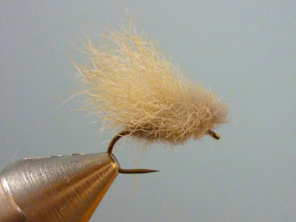 LW's Q-Tip