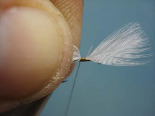 Hen Wing Sulphur Spinner