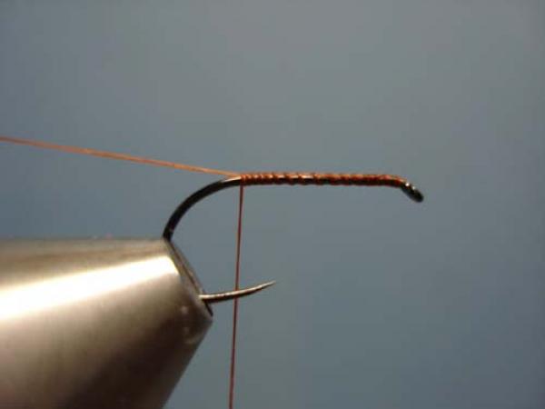 Poly Wing Rusty Spinner