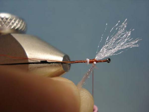 Poly Wing Rusty Spinner