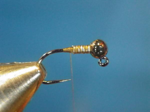 LW's Intestinal Bug