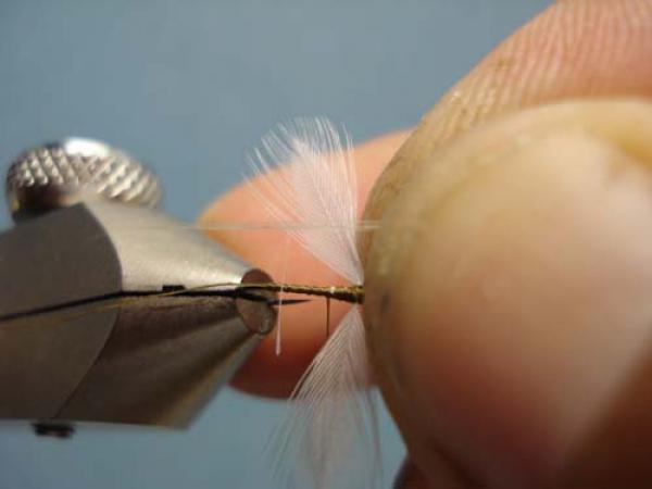 Hen Wing Sulphur Spinner