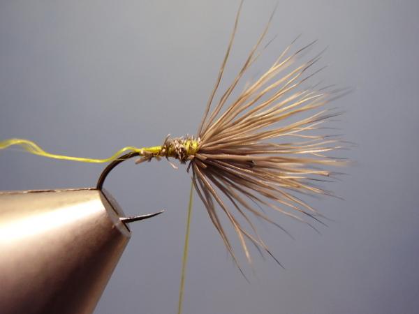Blue-Winged Olive Comparadun