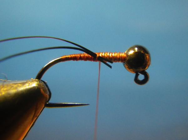 LW's Bugs' Revenge