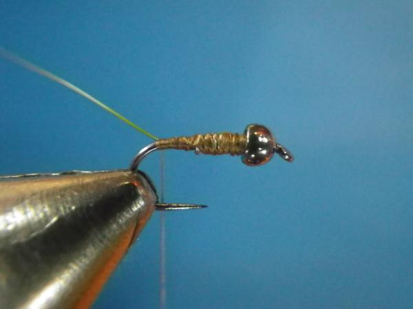 Modified Muskrat Nymph