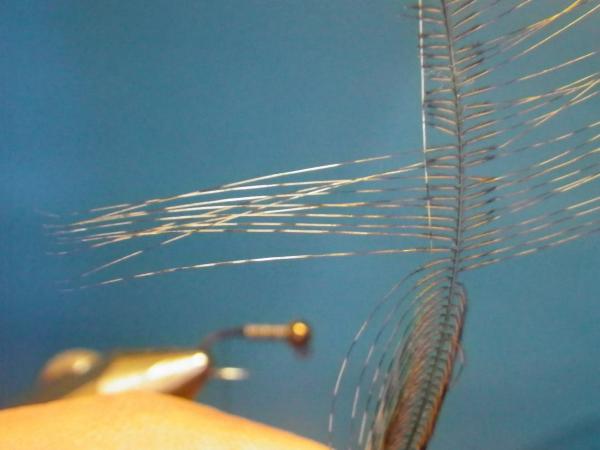 LW's Itchy
