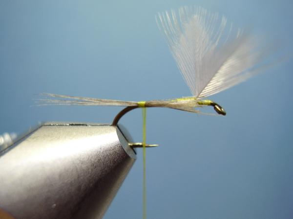 Blue-Winged Olive Catskill