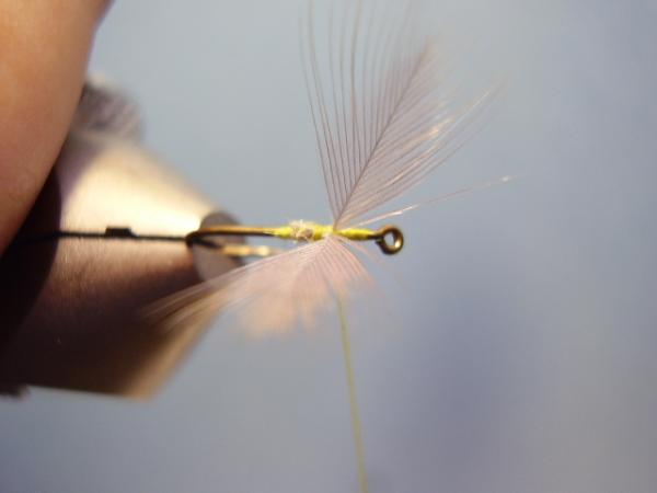 Blue-Winged Olive Catskill