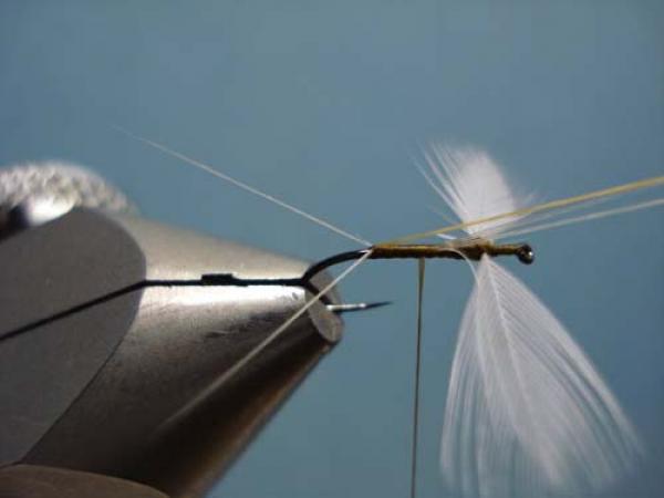 Hen Wing Sulphur Spinner