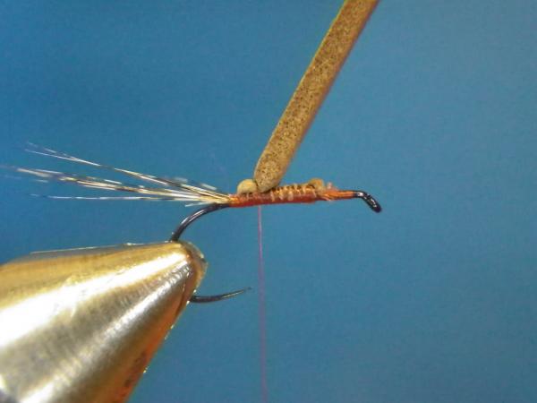 LW's Isonychia F-Plus