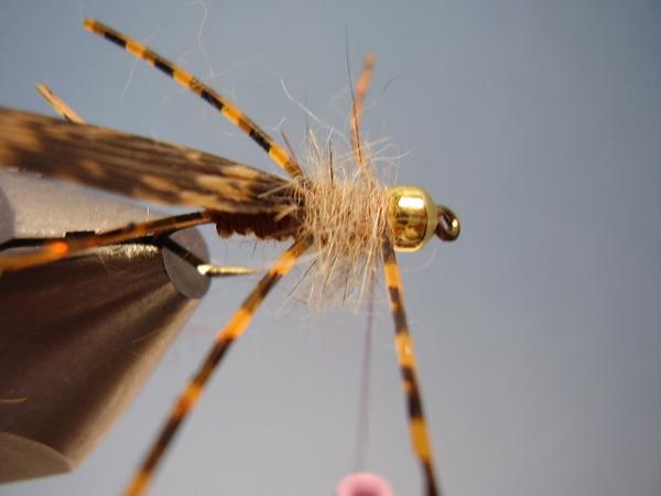 LW's Light Frontliner