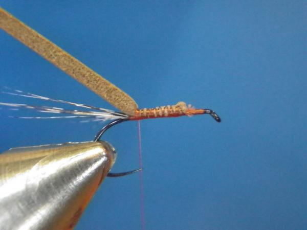 LW's Isonychia F-Plus