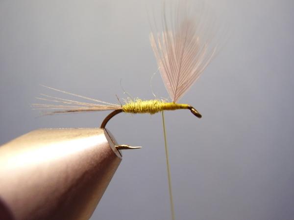 Blue-Winged Olive Catskill