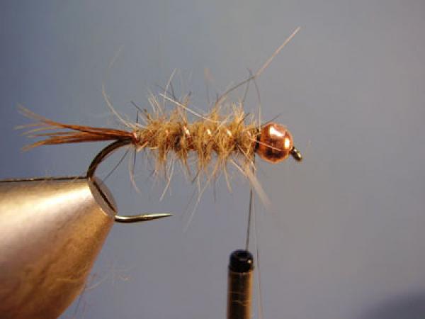 Hare and Copper