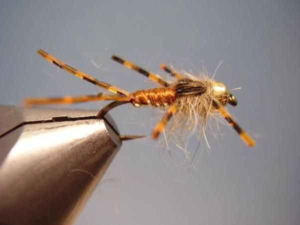 LW's Light Frontliner