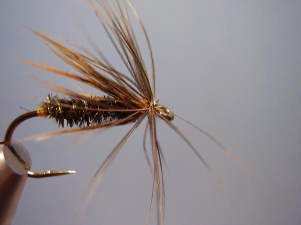 Leadwing Coachman