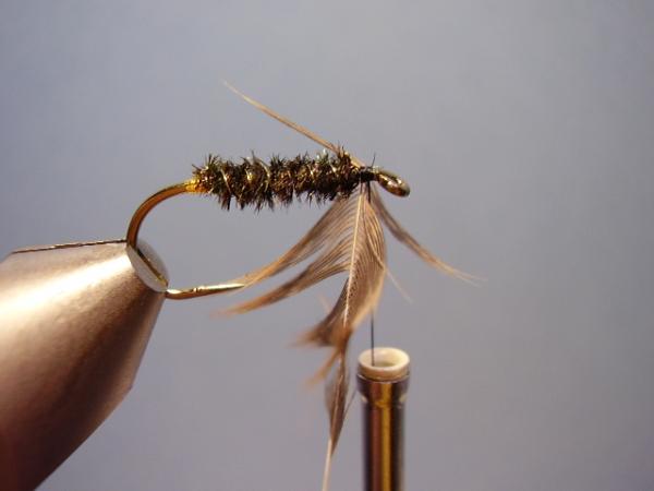Leadwing Coachman